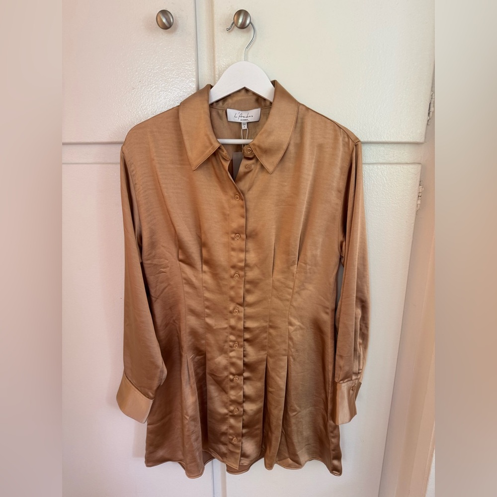 L’Academie pleated shirt dress